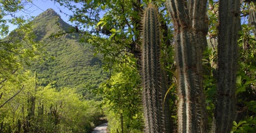 Parque Chrisfoffel