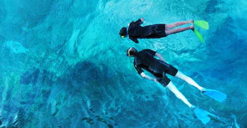 Snorkeling en Curacao